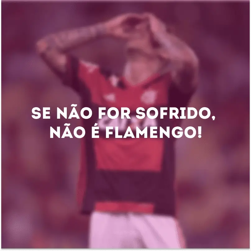 Frases Do Flamengo As Melhores Para Cada Momento